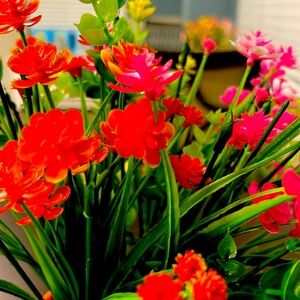 Meet your Posher, Yesenia